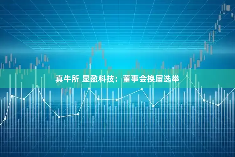 真牛所 显盈科技：董事会换届选举