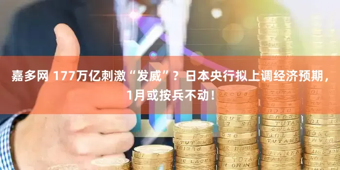 嘉多网 177万亿刺激“发威”？日本央行拟上调经济预期，1月或按兵不动！